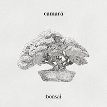 Camará – <cite>Bonsai</cite> album art