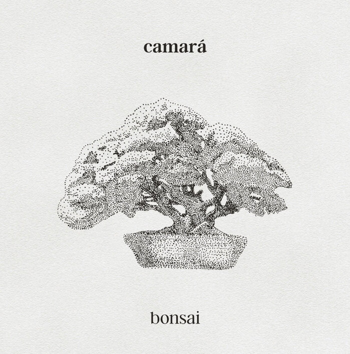 Camará – Bonsai album art 1