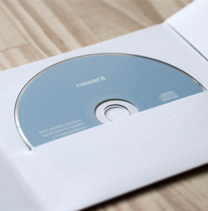 Camará – Bonsai album art 2