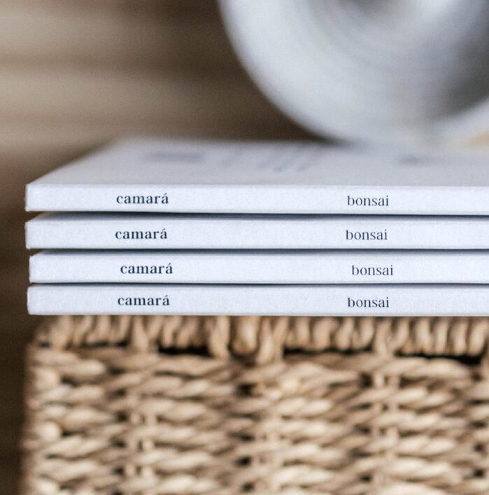 Camará – Bonsai album art 3