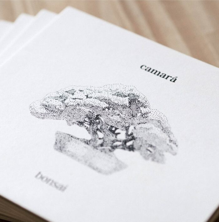 Camará – Bonsai album art 4