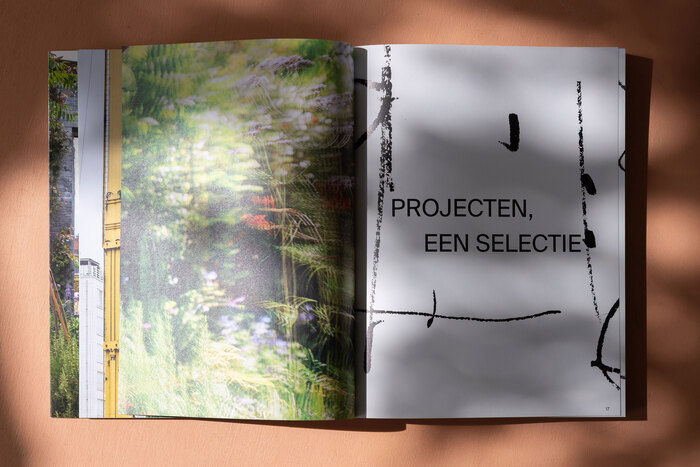 Wild Harmony by Bart &amp; Pieter 4