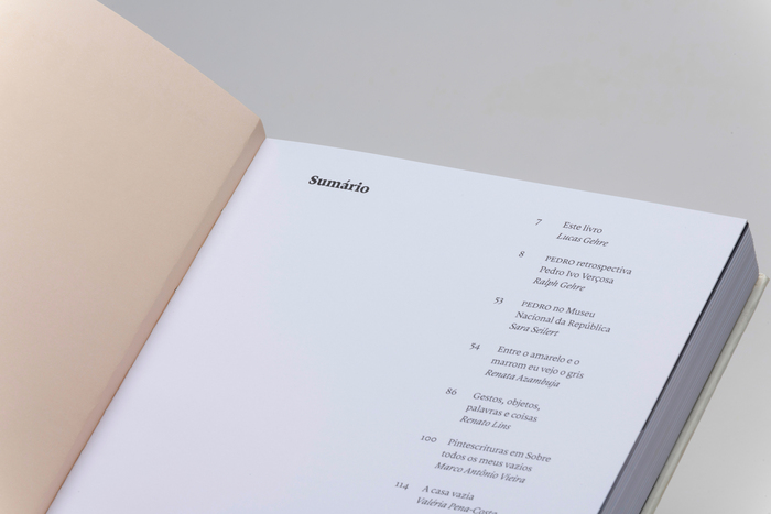 Pedro Ivo Verçosa monograph 3