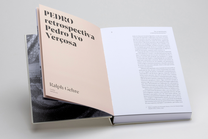 Pedro Ivo Verçosa monograph 5