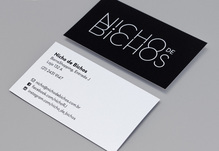 Nicho de Bichos branding