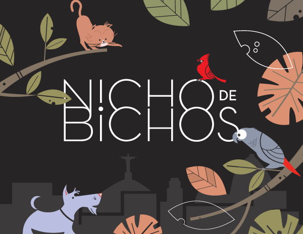 Nicho de Bichos branding 3