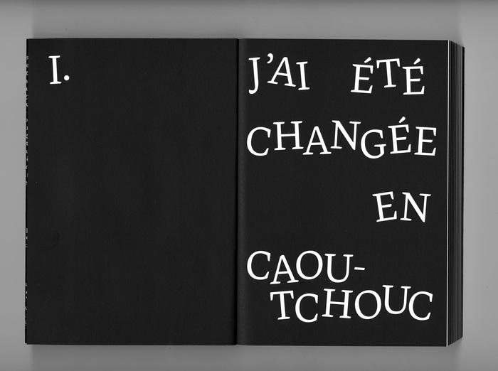 Il se passe des choses by Guillaume Chauchat 4