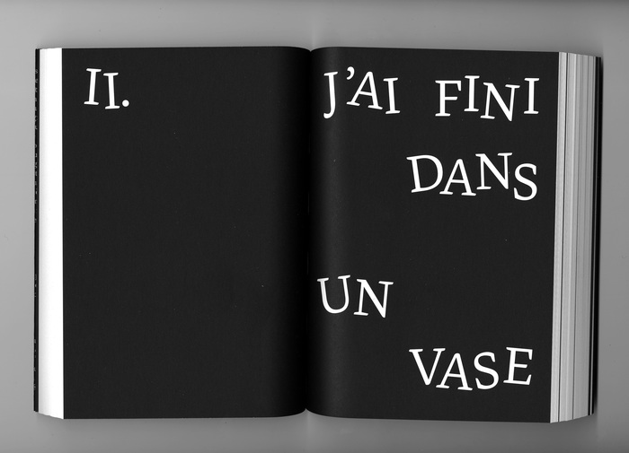Il se passe des choses by Guillaume Chauchat 5