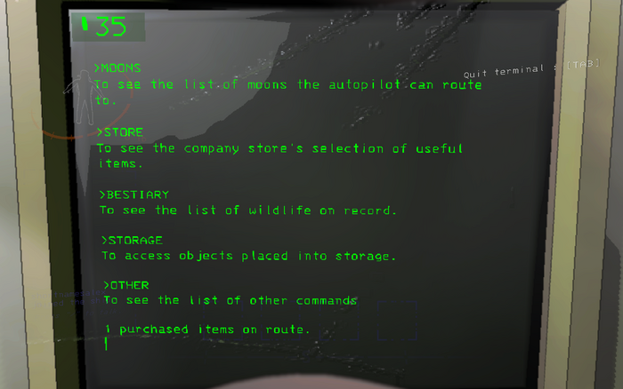 The terminal, which is used to buy items among other small tasks, uses 3270font.