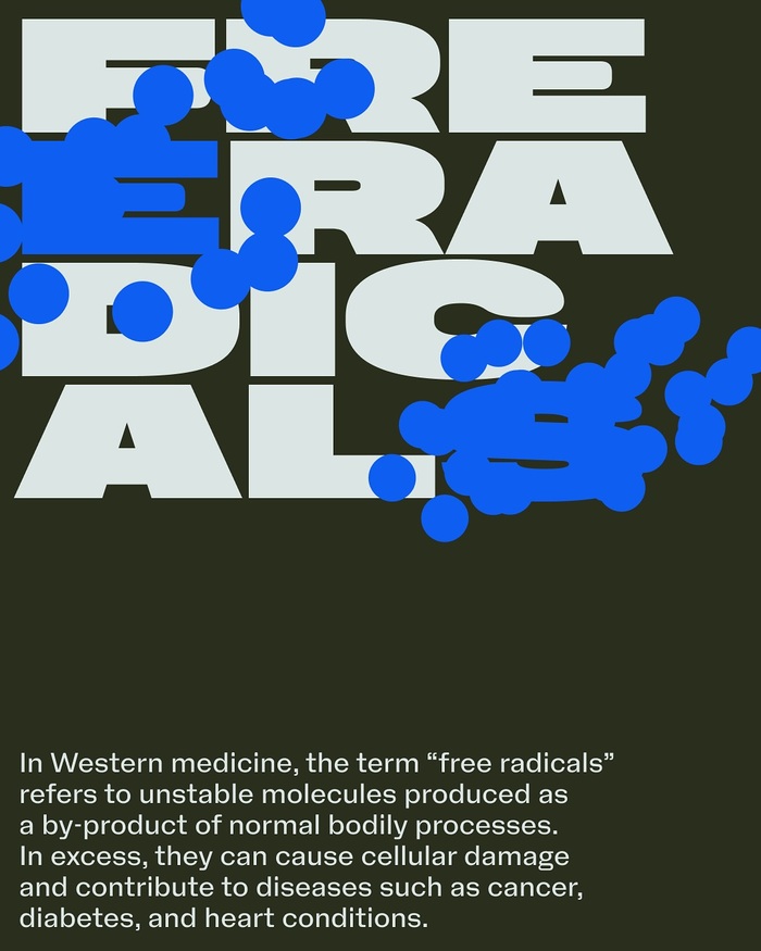 Free Radicals Symposium 8