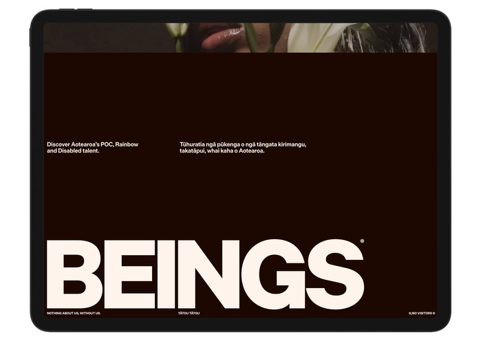 BEINGS website 3