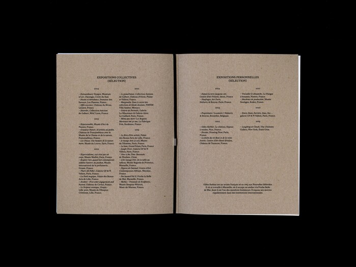 Le livre des naufrages by Gilles Barbier 3