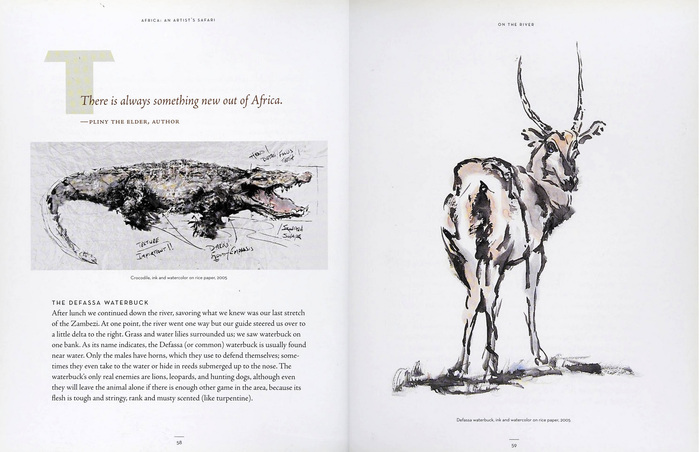 Africa. An Artist’s Safari by Fred Krakowiak 5