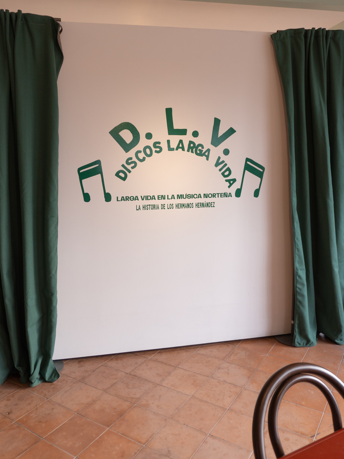Discos Larga Vida exhibition at Los Patrones 1