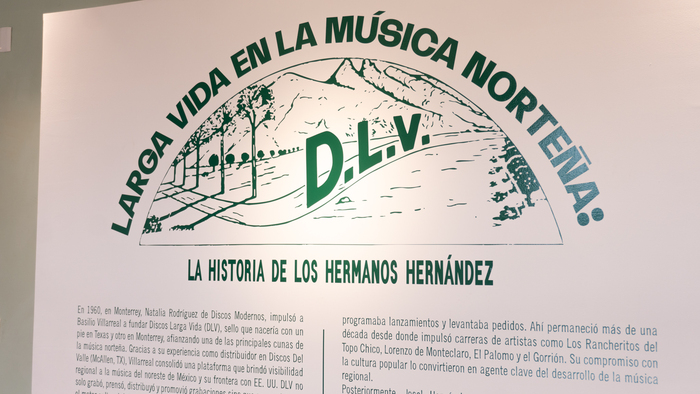Discos Larga Vida exhibition at Los Patrones 7