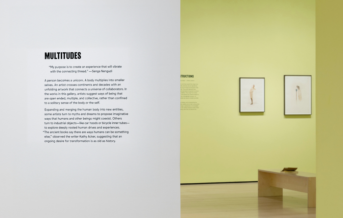 Vital Signs: Artists and the Body at MoMA 5