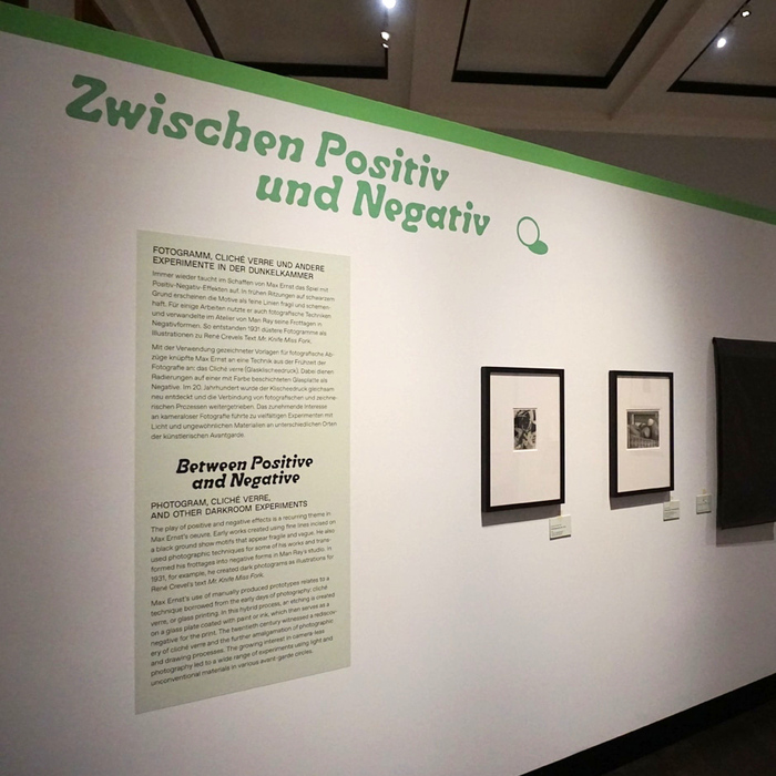 Fotogaga. Max Ernst und die Fotografie 8