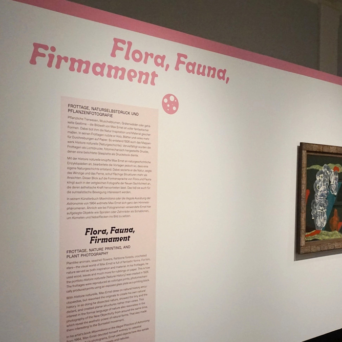 Fotogaga. Max Ernst und die Fotografie 10
