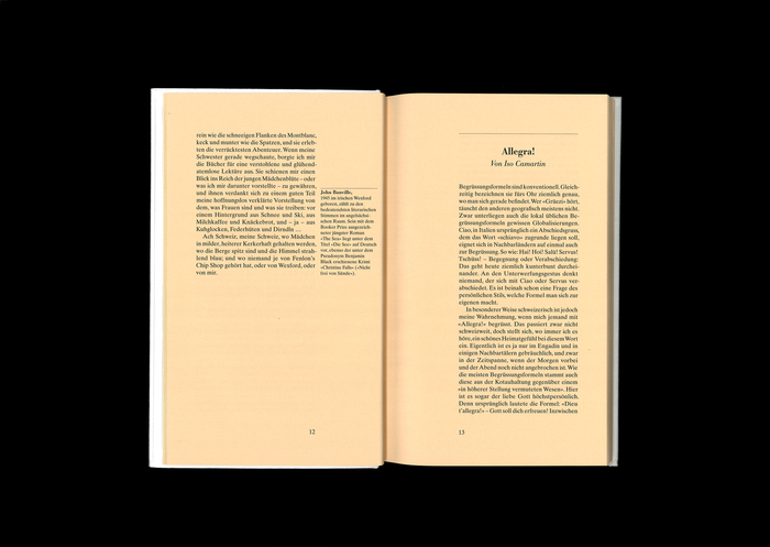Was ist schweizerisch? 34 Blicke auf ein Land by Martin Meyer (ed.) 2