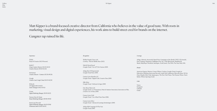 Matt Kipper website 5