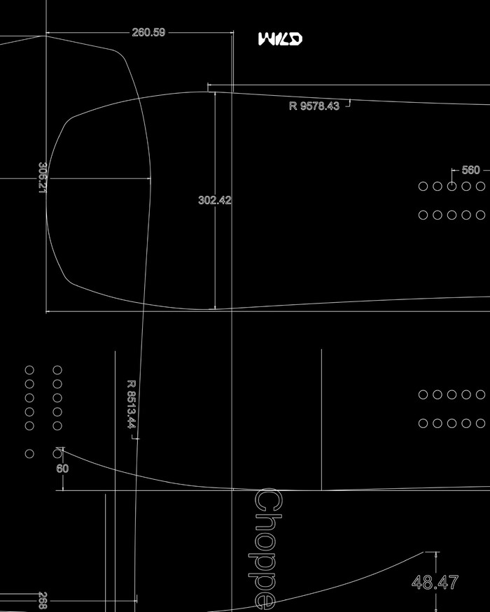 Wild Snowboards 10