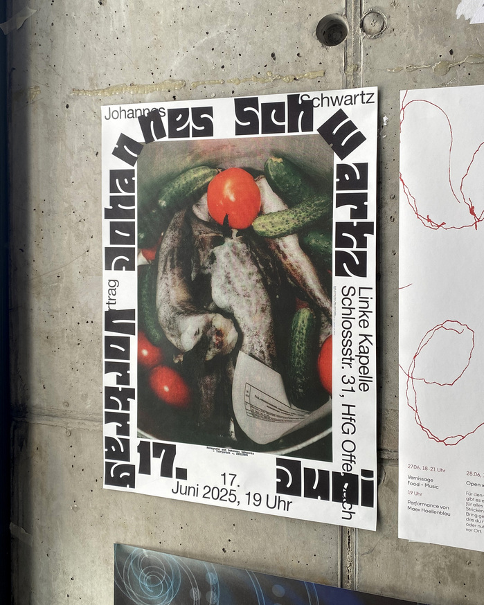 Johannes Schwartz lecture poster 2
