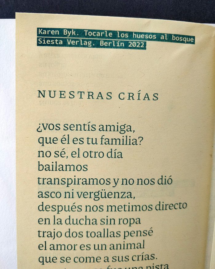 Siesta. Breve edición de verano 6