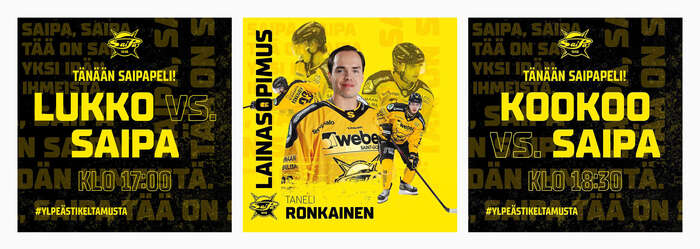 SaiPa 8