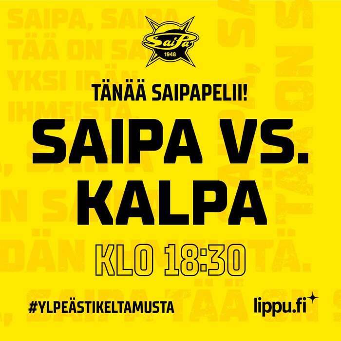 SaiPa 3