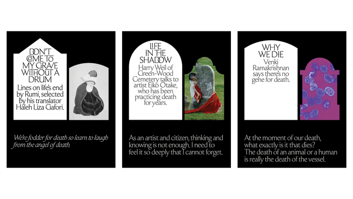 Pioneer Works Broadcast, Death Week series 8