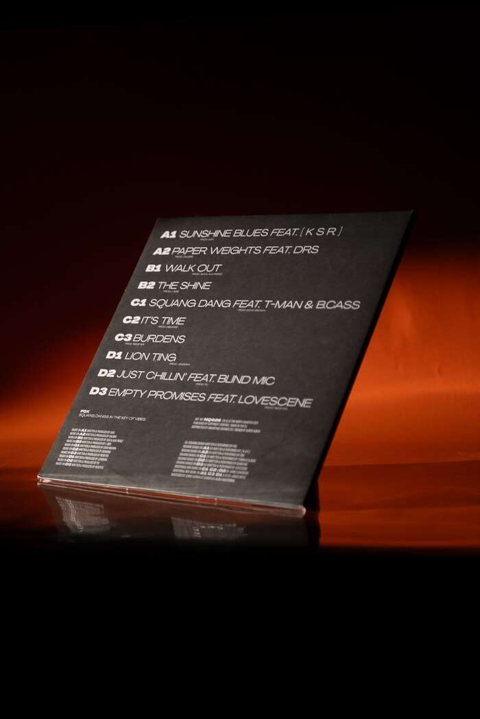 Fox – Squang Dangs in the Key of Vibes album art 3