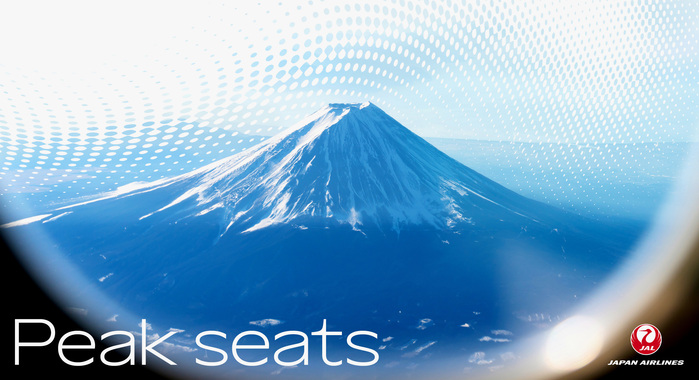 Japan Airlines identity system 3