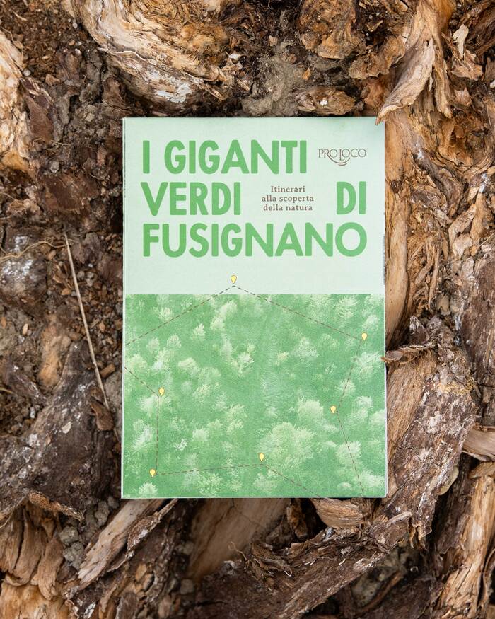 I Giganti Verdi di Fusignano 2