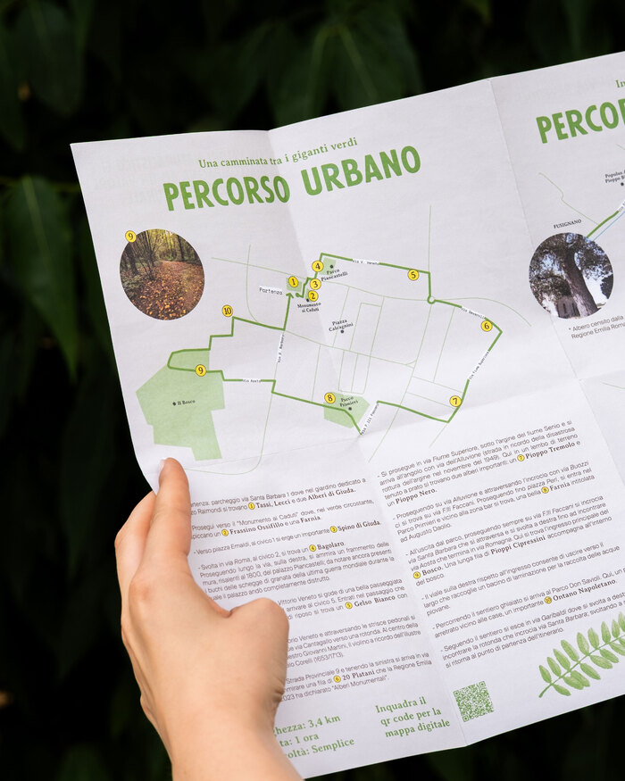 I Giganti Verdi di Fusignano 4