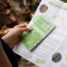 I Giganti Verdi di Fusignano