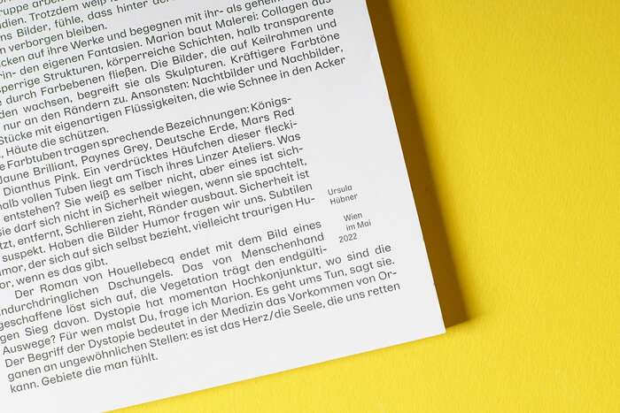Marion Reisinger – Selected Works 2017–2022 1