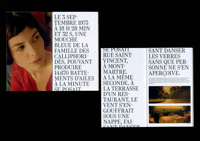 Le Fabuleux Destin d’Amélie Poulain. Le Guide 3