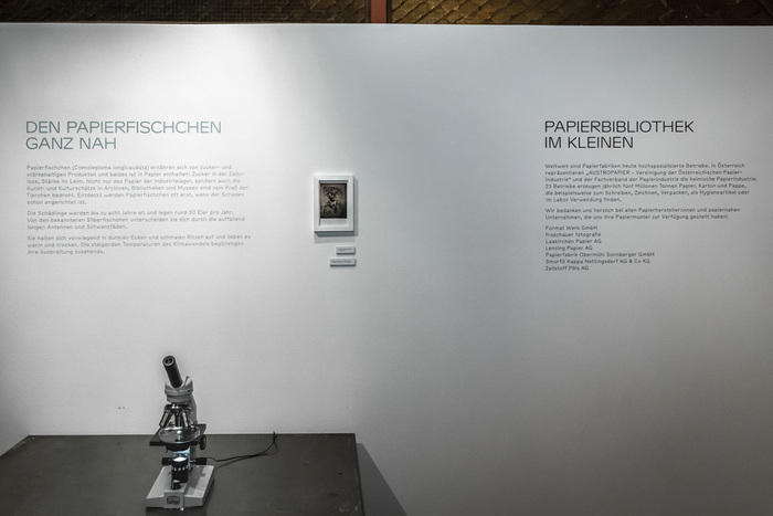 PAPIER, in Bausch und Bogen exhibition at Turm&nbsp;9&nbsp;– Stadtmuseum&nbsp;Leonding 12