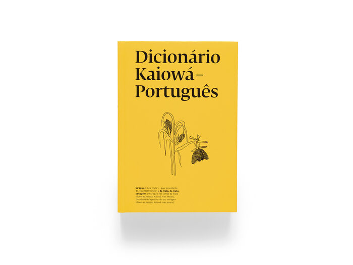 Dicionário Kaiowá-Português 2
