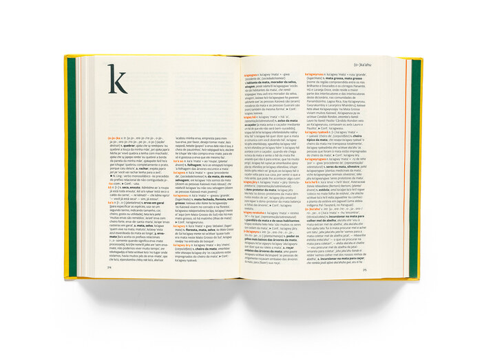 Dicionário Kaiowá-Português 15