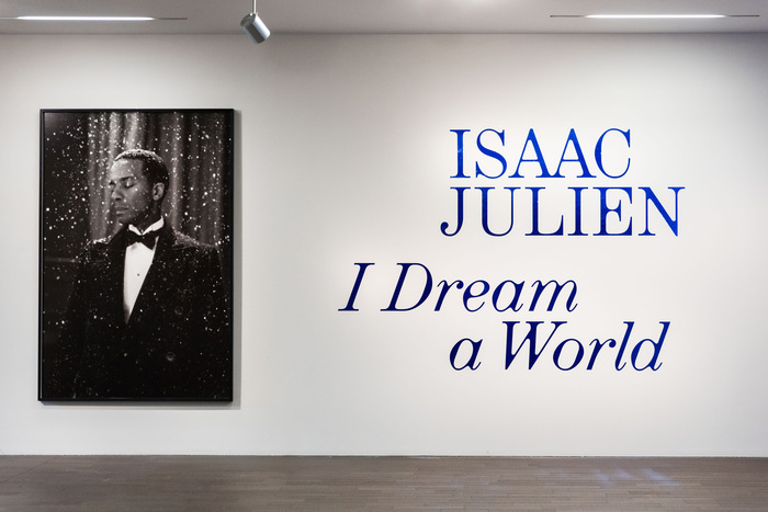 Isaac Julien: I Dream a World at De Young Museum 10
