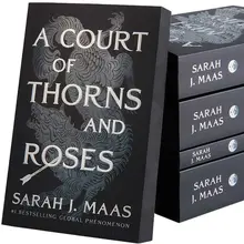 <cite>A Court of Thorns and Roses</cite> book series by Sarah J. Maas