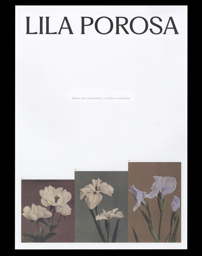 Lila Porosa 3
