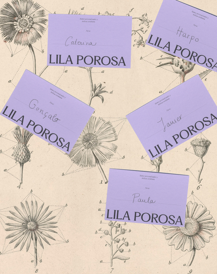 Lila Porosa 2