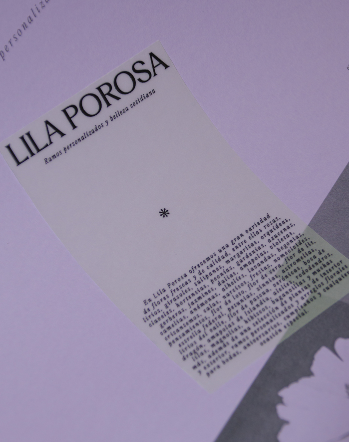 Lila Porosa 4