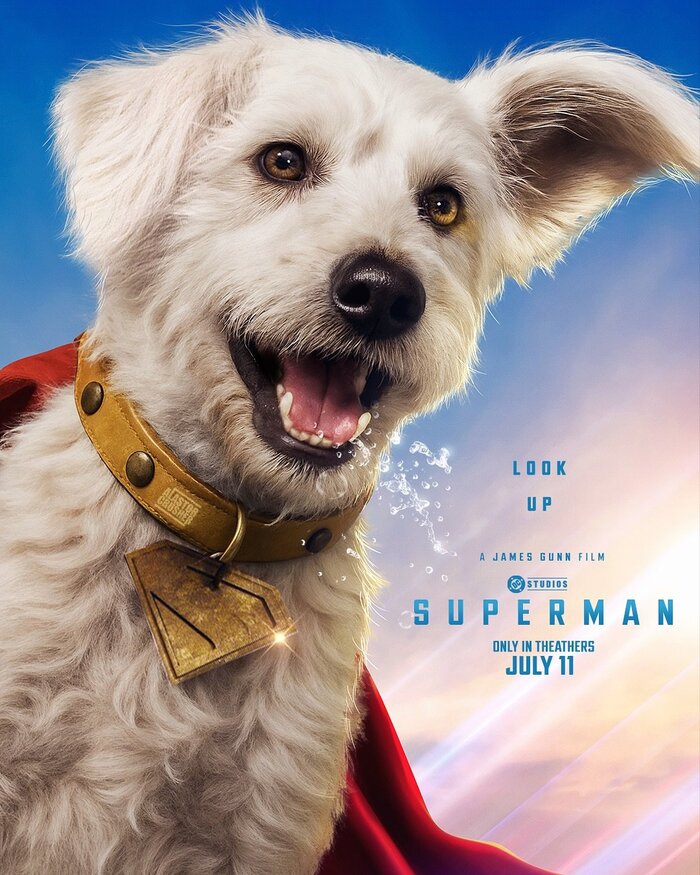 Superman (2025) movie posters 7