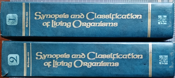 Spines showing both volumes