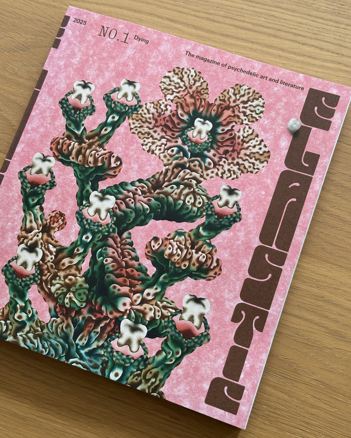 Elastic magazine, no.&nbsp;1 1