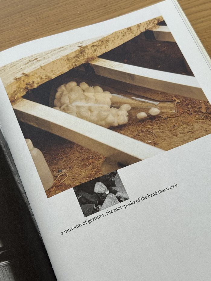 Inviting Life by Stella Rahola Matutes, Roger Paez 7