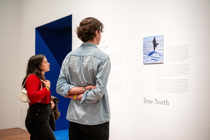 Isaac Julien: I Dream a World at De Young Museum 8